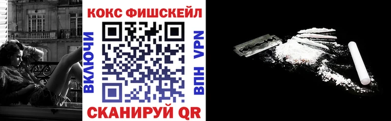 Cocaine Fish Scale  Купить закладки  Данилов 