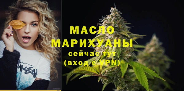 молекула духа Волоколамск