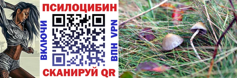 Галлюциногенные грибы Magic Shrooms  Купить  Данилов 